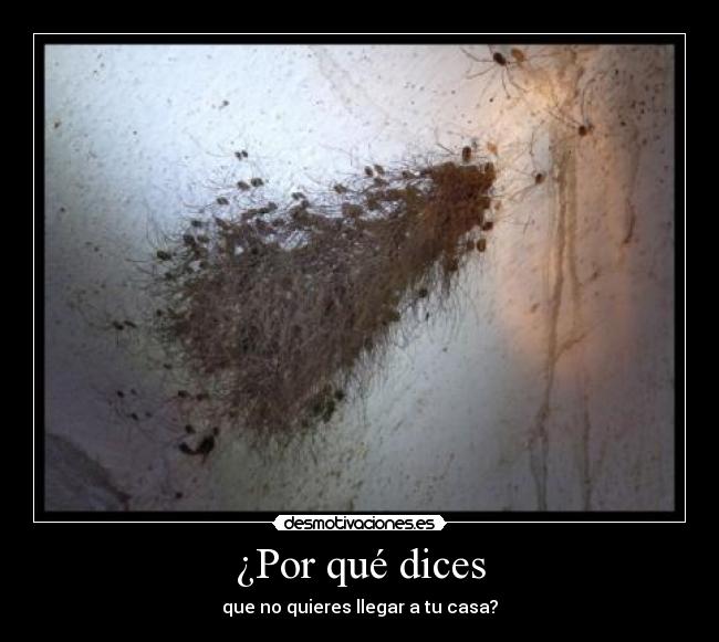 ¿Por qué dices - que no quieres llegar a tu casa?