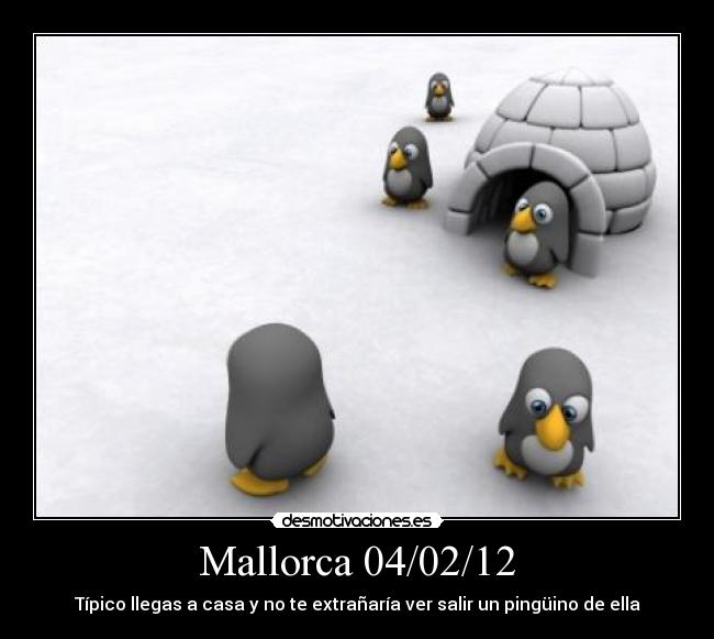 Mallorca 04/02/12 - Típico llegas a casa y no te extrañaría ver salir un pingüino de ella