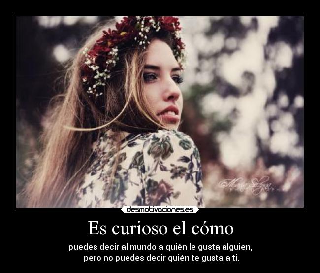 Es curioso el cómo -