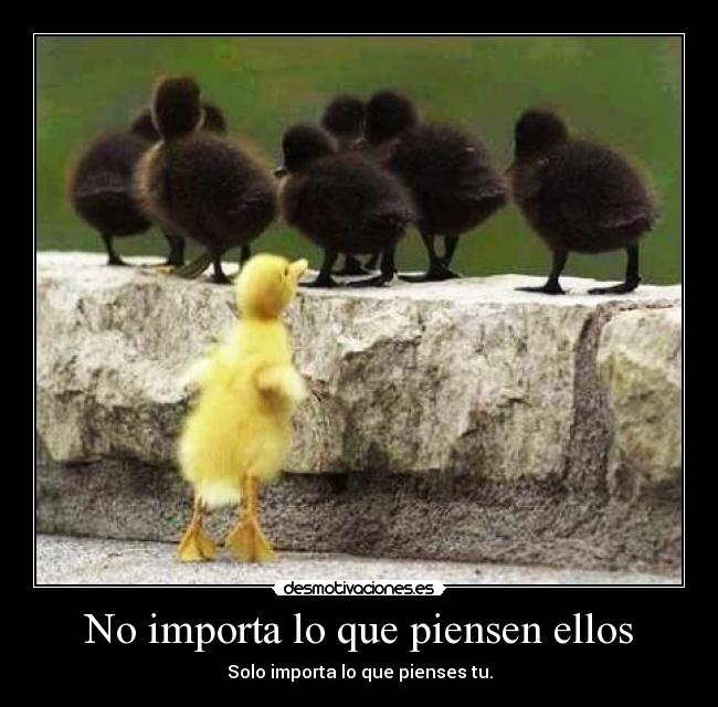 No importa lo que piensen ellos - Solo importa lo que pienses tu.
