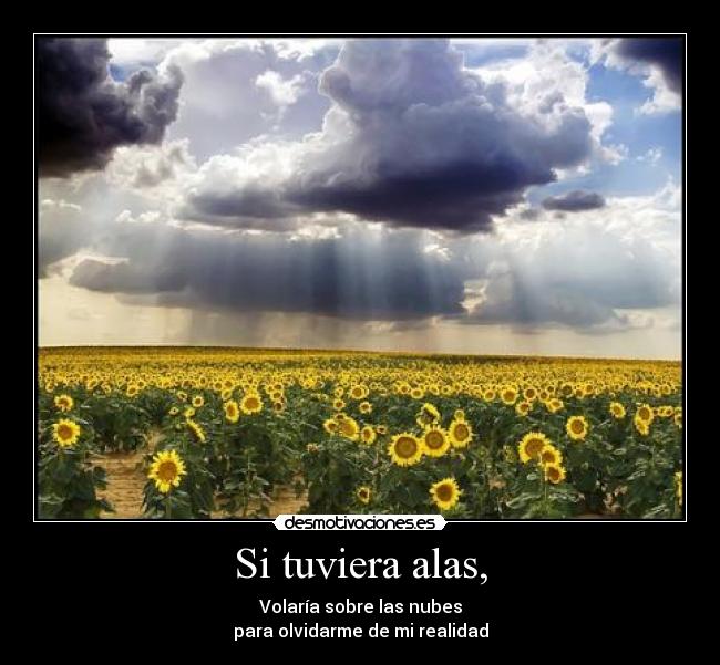 carteles nubes alas flores realidad desmotivaciones