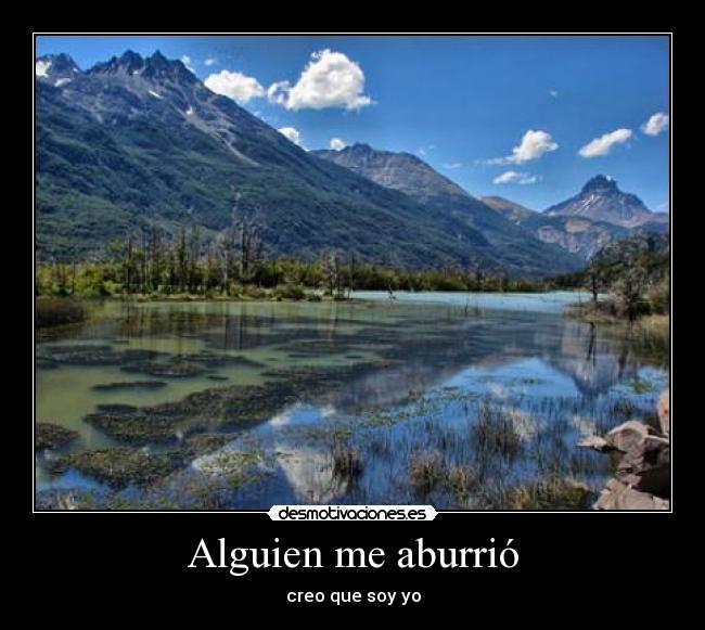 Alguien me aburrió -