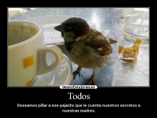Todos - Deseamos pillar a ese pajarito que le cuenta nuestros secretos a nuestras madres.