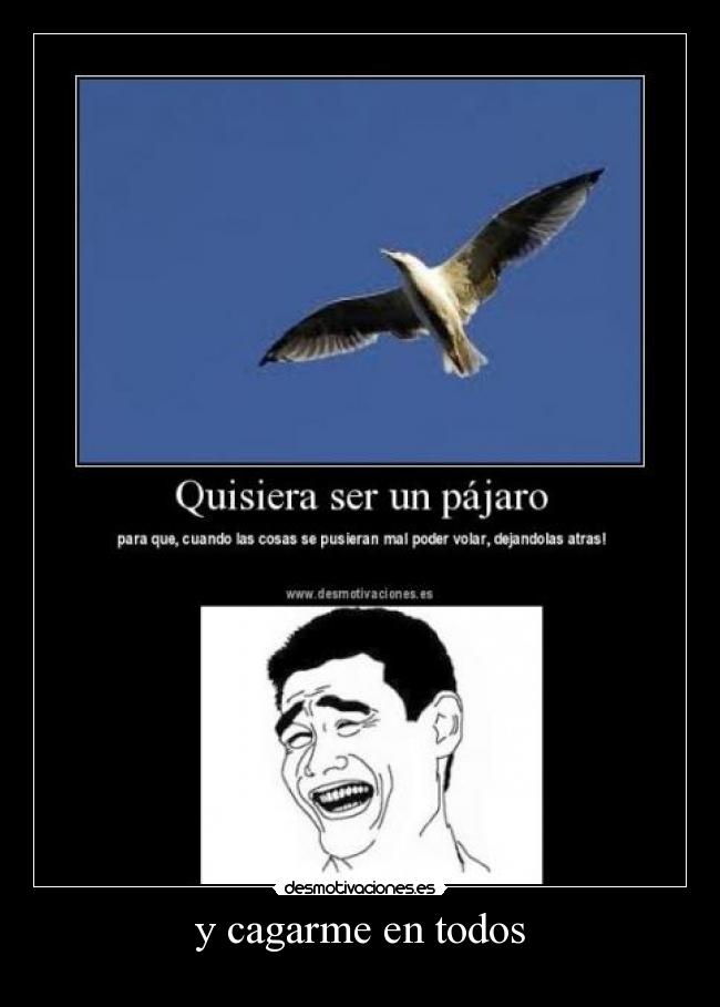 y cagarme en todos -