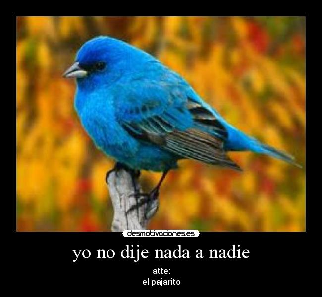 yo no dije nada a nadie -