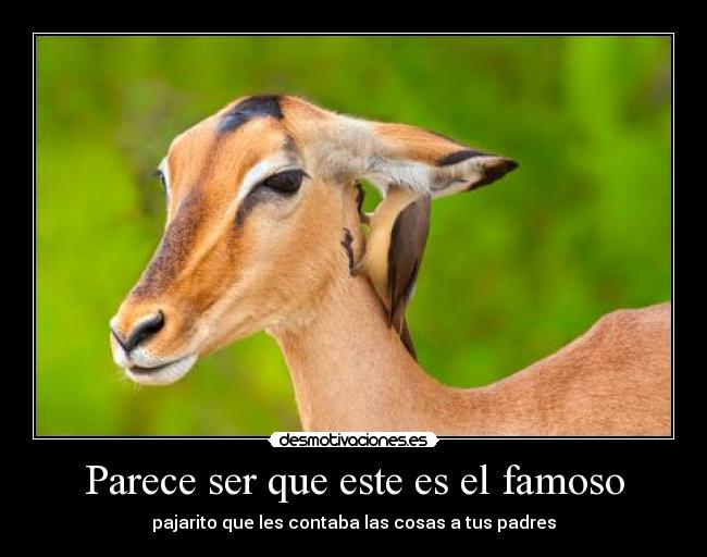 Parece ser que este es el famoso - 