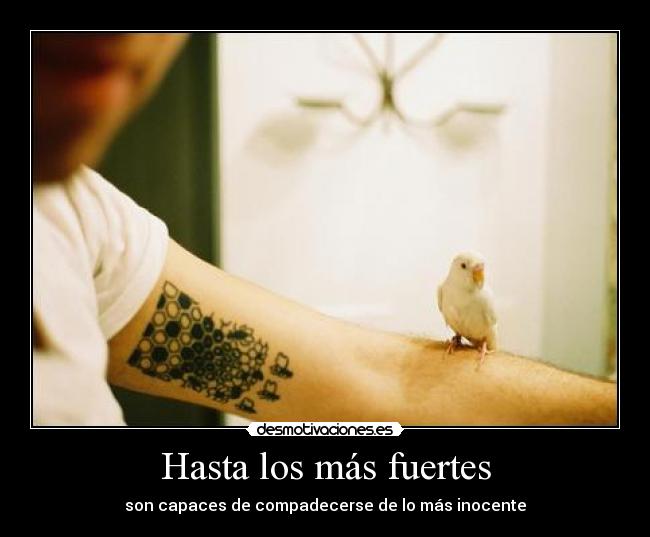 Hasta los más fuertes - son capaces de compadecerse de lo más inocente