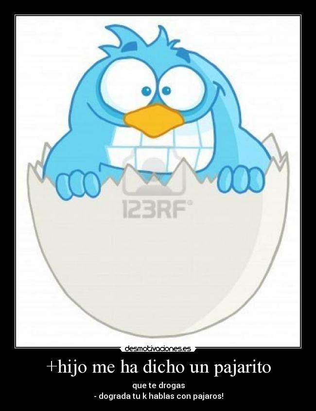 +hijo me ha dicho un pajarito - 