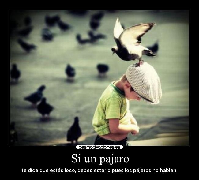 Si un pajaro -
