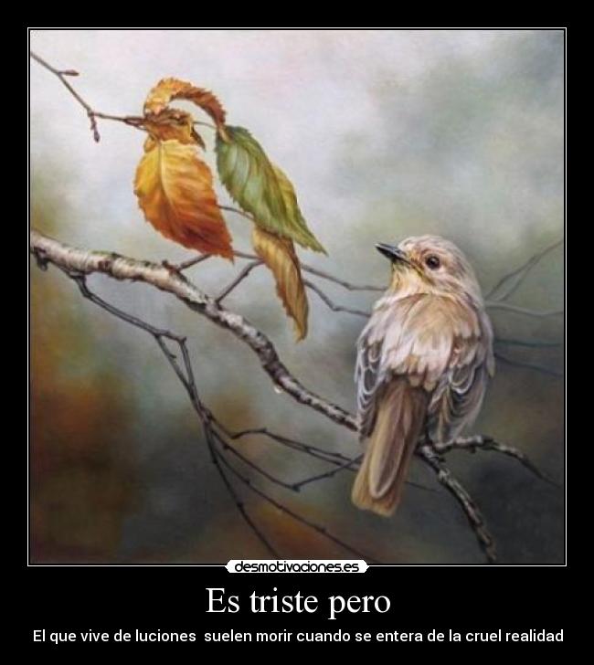 Es triste pero - 