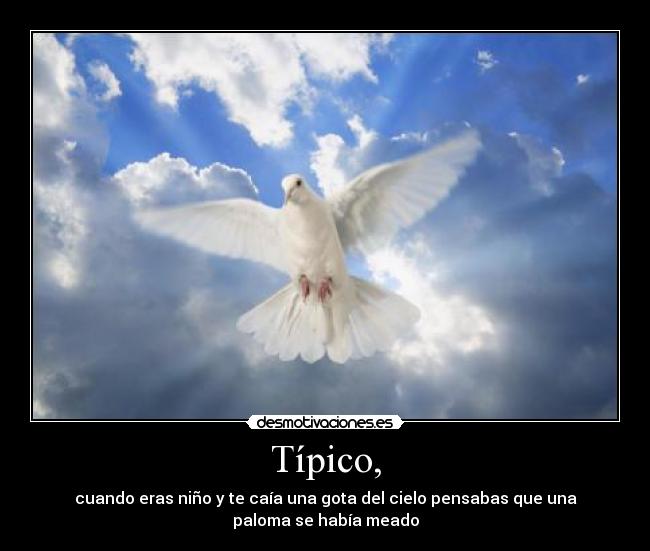Típico, - cuando eras niño y te caía una gota del cielo pensabas que una
paloma se había meado