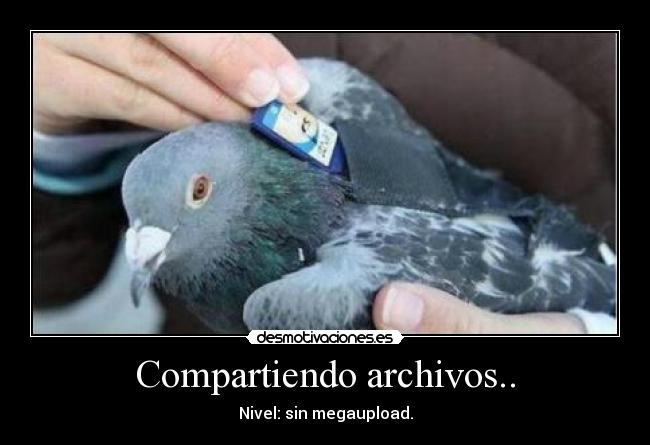 Compartiendo archivos.. - Nivel: sin megaupload.