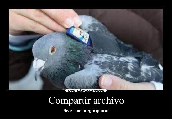 Compartir archivo - Nivel: sin megaupload.