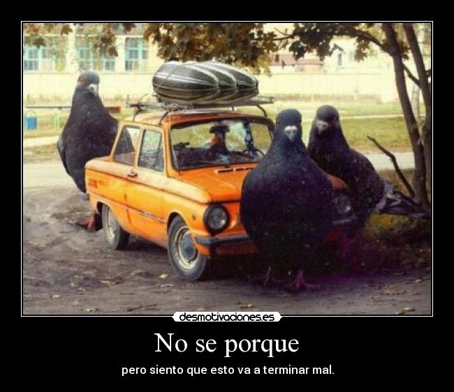 No se porque - pero siento que esto va a terminar mal.