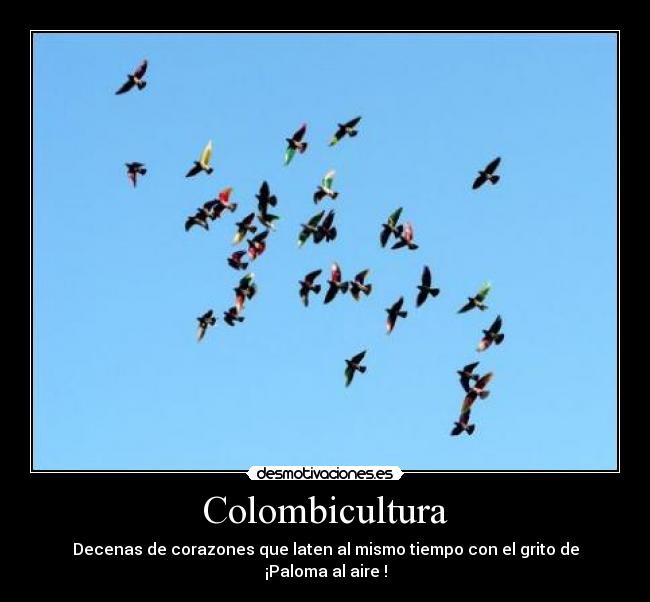 Colombicultura -