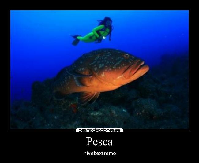 Pesca - nivel:extremo