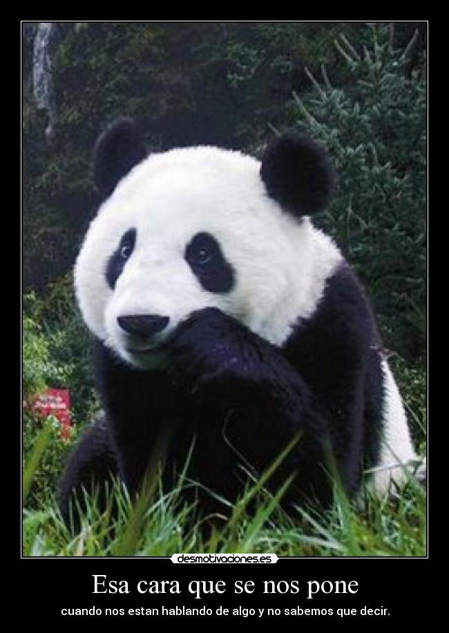 Esa cara que se nos pone - cuando nos estan hablando de algo y no sabemos que decir.