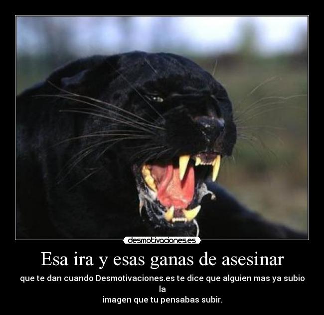 Esa ira y esas ganas de asesinar - que te dan cuando Desmotivaciones.es te dice que alguien mas ya subio la
imagen que tu pensabas subir.
