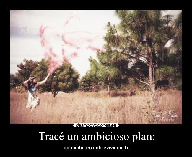 Tracé un ambicioso plan: -