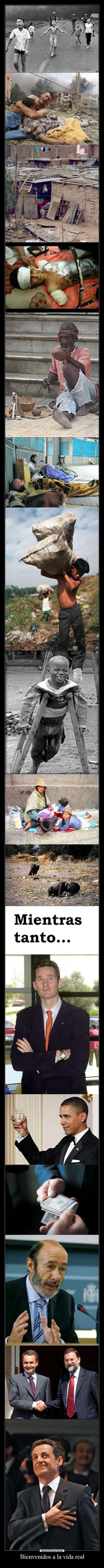 Bienvenidos a la vida real -