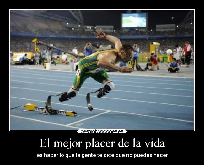 carteles vida acabo levantar siesta otra vez estudiar como perro pasar apuntes gorriones desmotivaciones