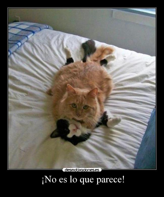 ¡No es lo que parece! -