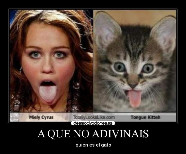 carteles desmotivaciones