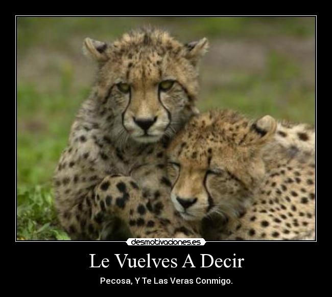 Le Vuelves A Decir - Pecosa, Y Te Las Veras Conmigo.