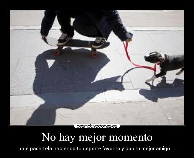 carteles skate que manda desmotivaciones