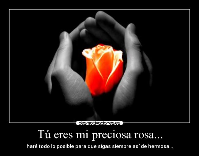 Tú eres mi preciosa rosa... - haré todo lo posible para que sigas siempre así de hermosa...
