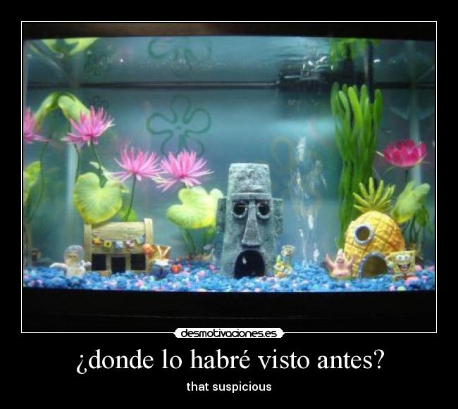 carteles bob esponja desmotivaciones