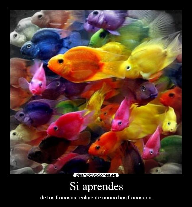 carteles fracasos desmotivaciones