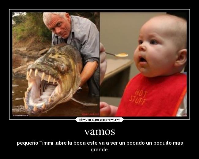 vamos - pequeño Timmi ,abre la boca este va a ser un bocado un poquito mas grande.