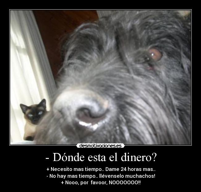 - Dónde esta el dinero? - + Necesito mas tiempo.. Dame 24 horas mas..
- No hay mas tiempo.. llévenselo muchachos!
+ Nooo, por  favoor, NOOOOOOO!!