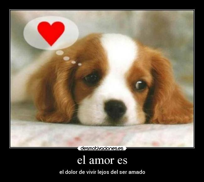 el amor es - el dolor de vivir lejos del ser amado