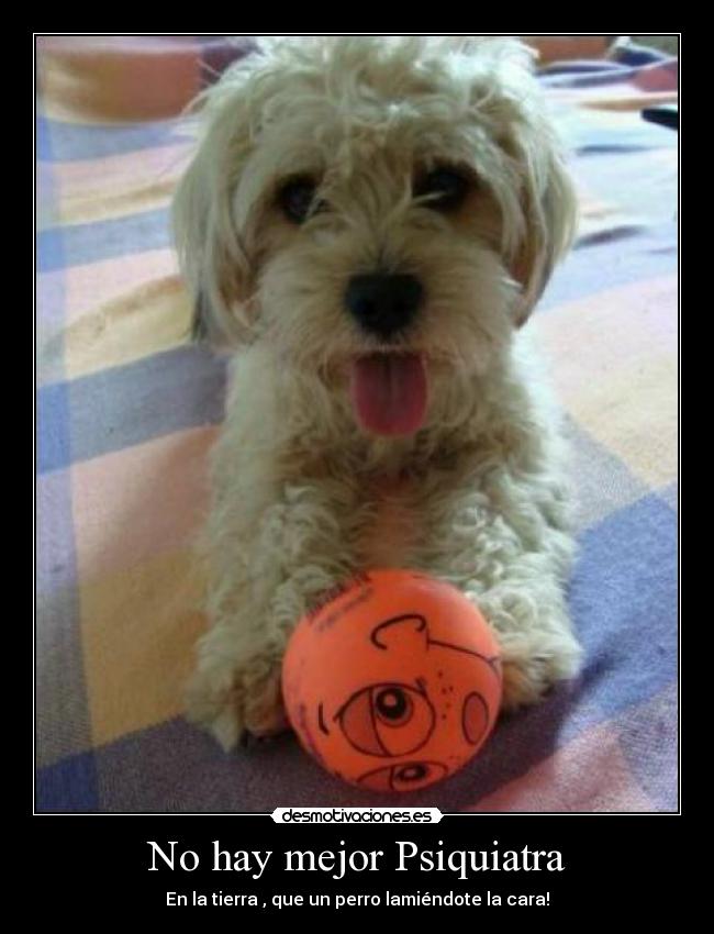 No hay mejor Psiquiatra - En la tierra , que un perro lamiéndote la cara!♥