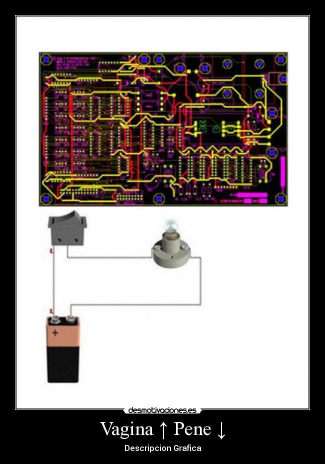 Vagina ↑ Pene ↓ -