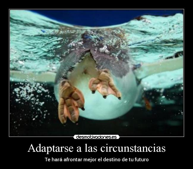 carteles guillari desmotivaciones