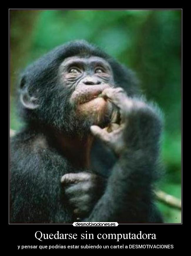 carteles computadora cartel desmotivaciones desmotivaciones
