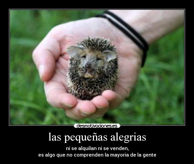 las pequeñas alegrias - ni se alquilan ni se venden,
es algo que no comprenden la mayoria de la gente