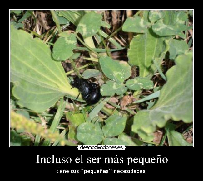 Incluso el ser más pequeño -