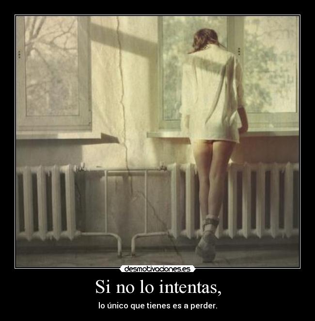 Si no lo intentas, - 