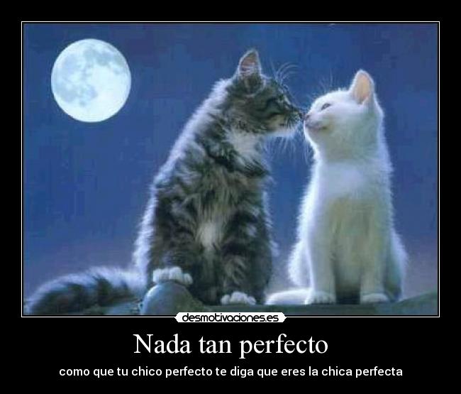 Nada tan perfecto - como que tu chico perfecto te diga que eres la chica perfecta