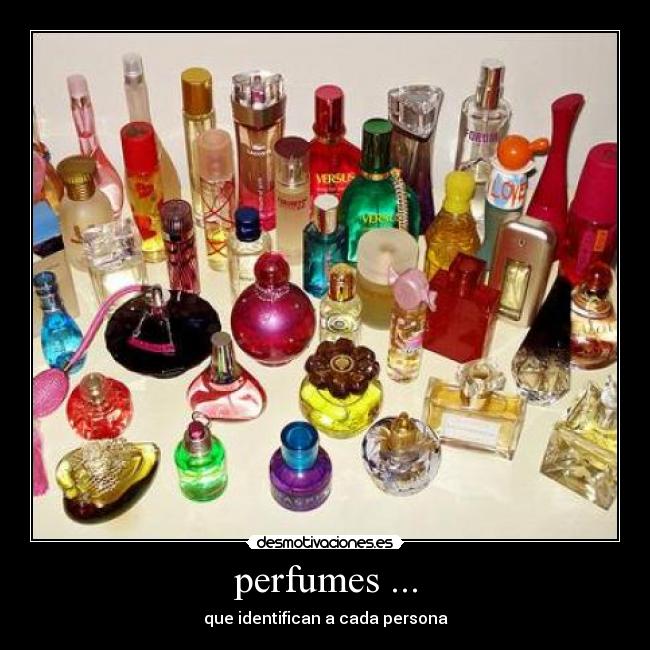 carteles perfumes desmotivaciones