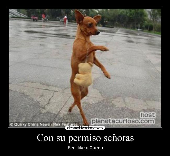 carteles feel liked desmotivaciones