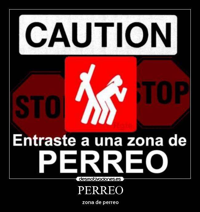 PERREO -