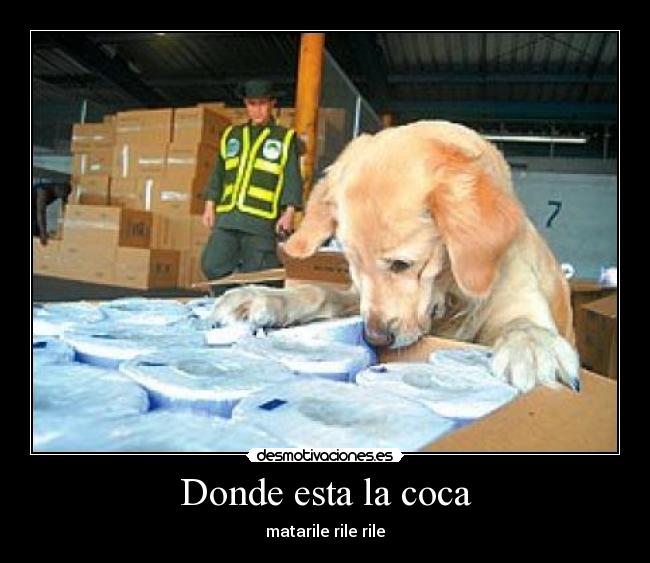 Donde esta la coca -