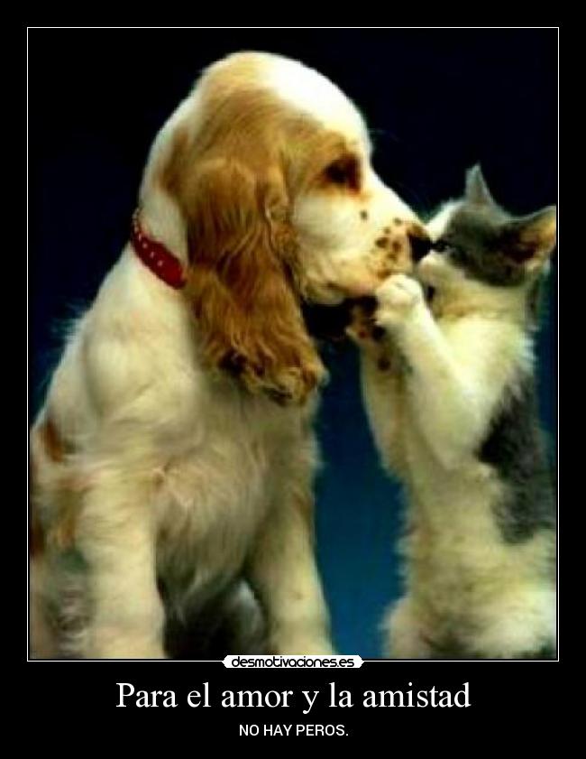 Para el amor y la amistad - NO HAY PEROS.