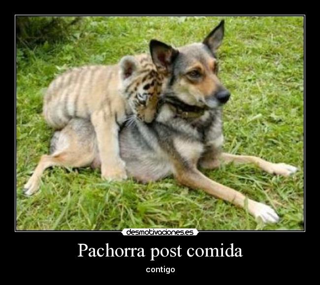 Pachorra post comida -