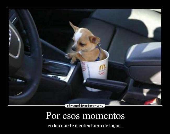 Por esos momentos - en los que te sientes fuera de lugar...